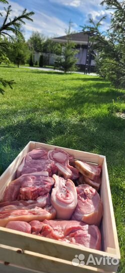 Мясо свинина телятина на кости