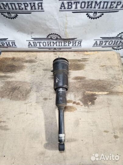 Пневмостойка Lexus LS460 лс 460 (2006 - 2012)