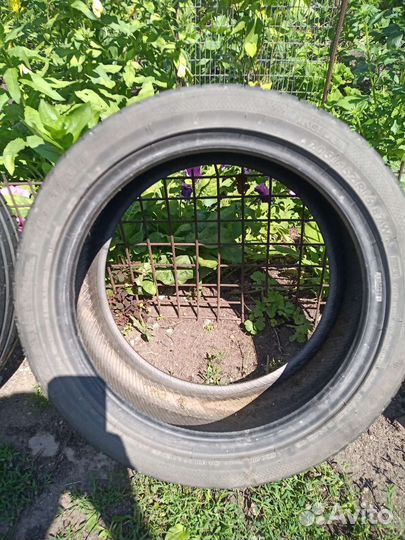 Dunlop Graspic DS3 205/55 R16