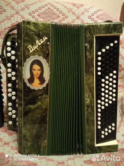 Баян Тульский