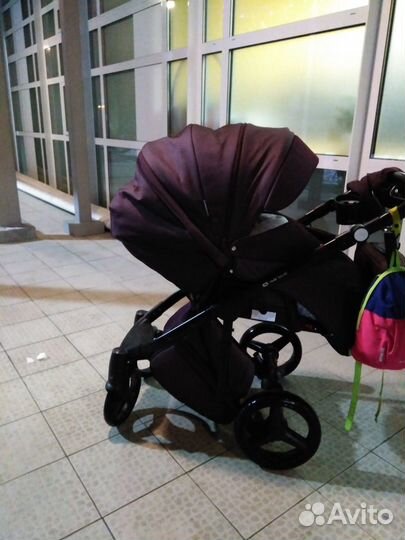 Коляска Adamex Luciano 2 в 1