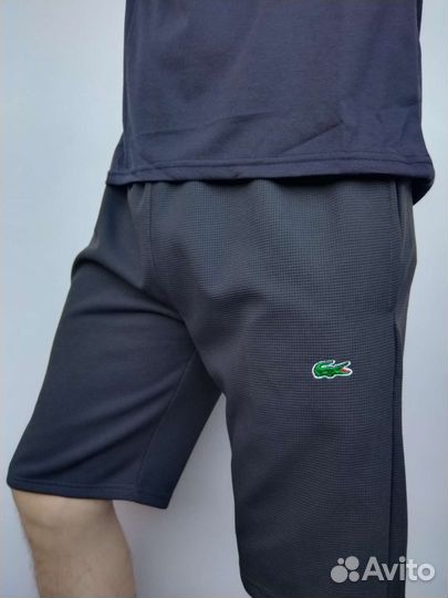 Шорты мужские lacoste