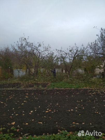 Обрезка сада, обработка пестицидами