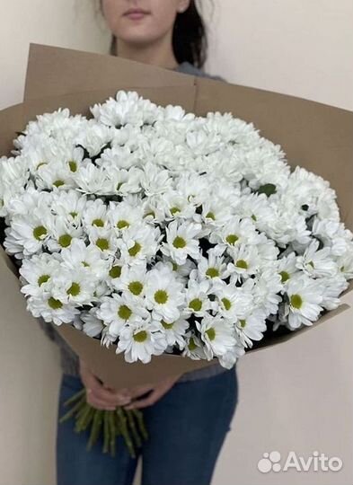 Хризантема Букет хризантем Доставка