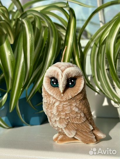 Сова свеча