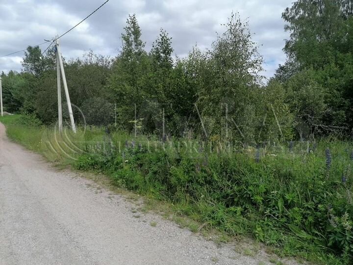 Участок 10 сот. (СНТ, ДНП)