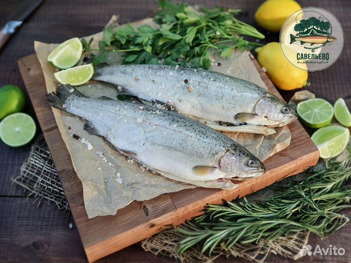 Свежая красная рыба, Форель охлажденная / Оптом