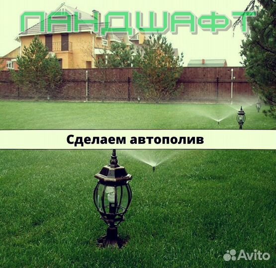 Высший сорт рулонного газона Чехов