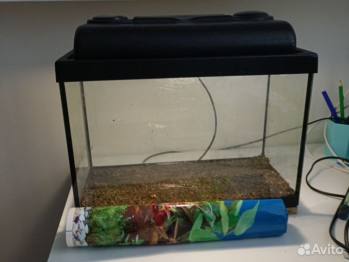Аквариум