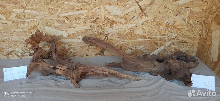 Красивые Коряжки