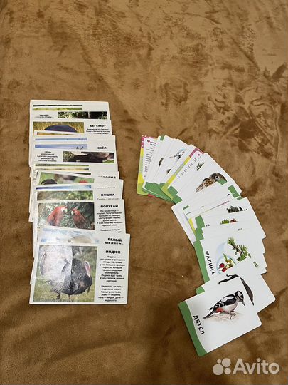 Обучающие карточки для малышей