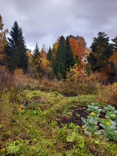 Участок 8,3 сот. (СНТ, ДНП)