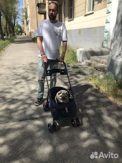 Коляска для собак