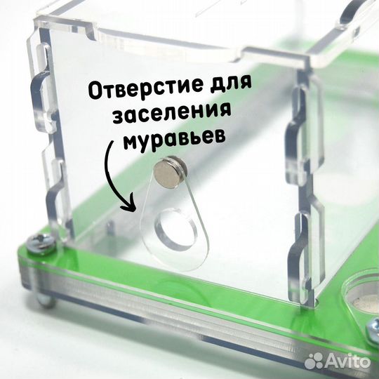 Муравьиная ферма 