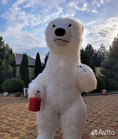 Белый мишка Айрокостюм на праздник 2,6