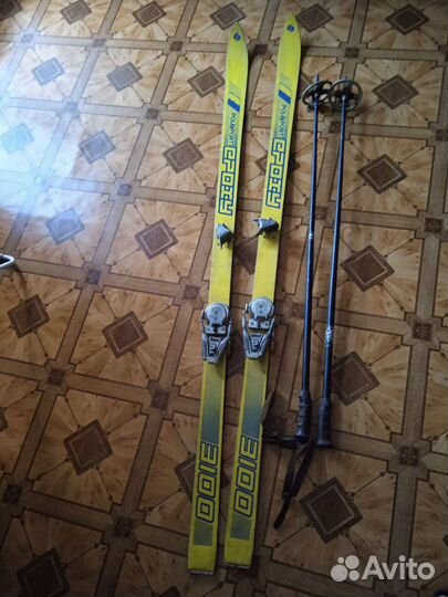 Горные лыжи