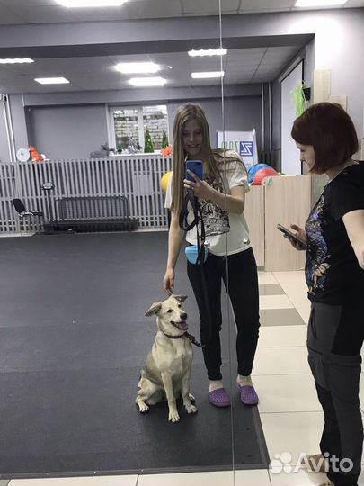 Пристраиваю Лису Михайловну