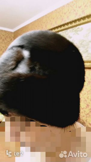 Шапка женская