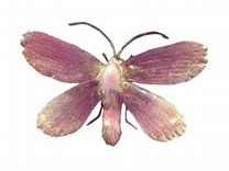 Кулон бабочка ручной работы мотылек