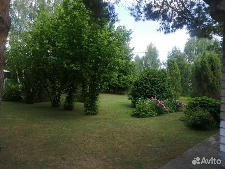 Покос травы триммером
