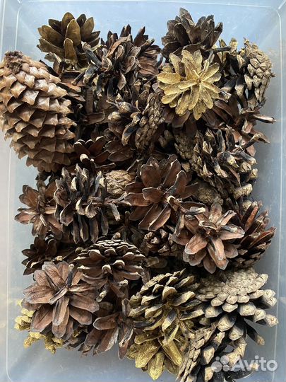 Шишки для поделок