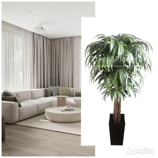 Искусственное дерево манго