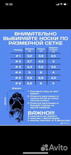 Носки для собак прорезиненые