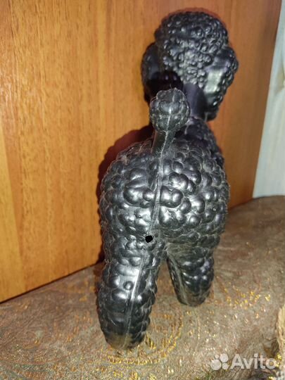 Черный пудель