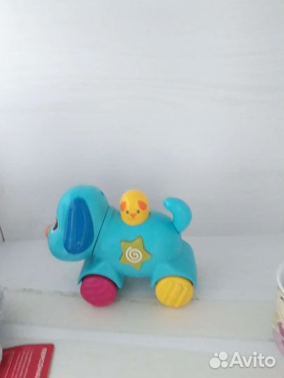 Музыкальная собака