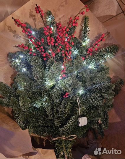 Лапник ветки нобилис