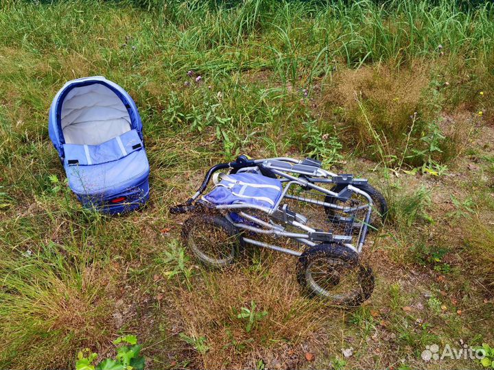 Коляска Inglesina Sofia (шасси Ergo Bike)