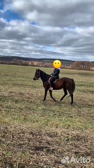 Продаются мерены