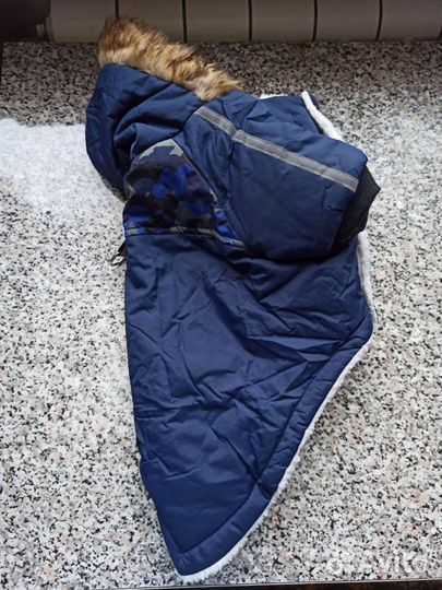 Одежда для собак