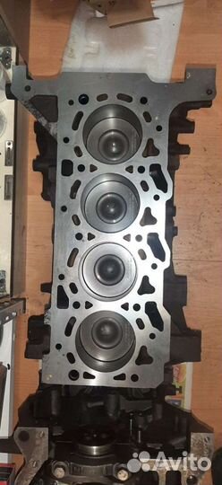 Блок цилиндров в сборе Форд Транзит 2.2-2.4