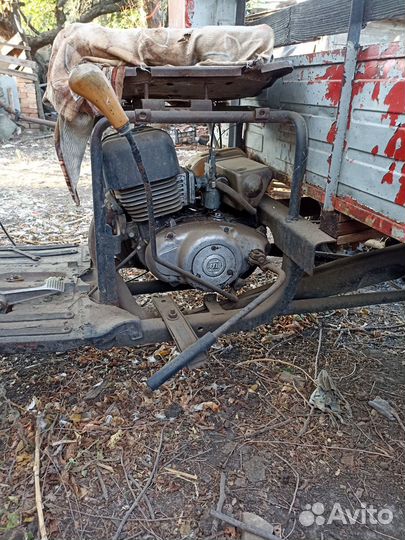 Моторолер муровей