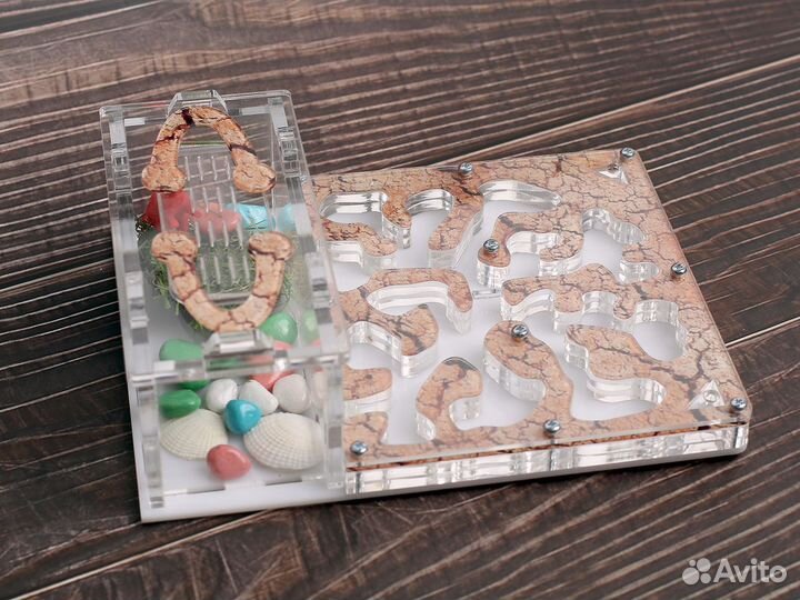 Муравьиная ферма с муравьями в Чита