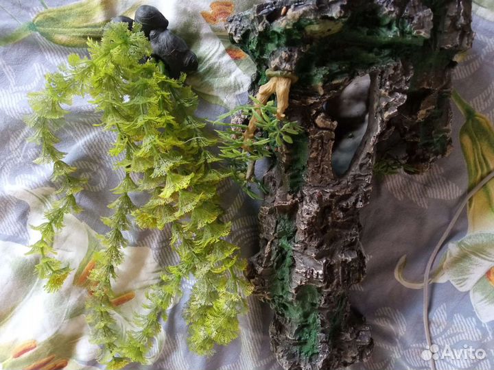 Для аквариума