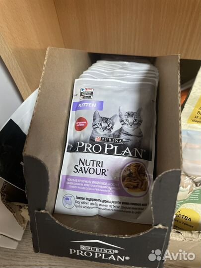 Влажный корм для котят pro plan