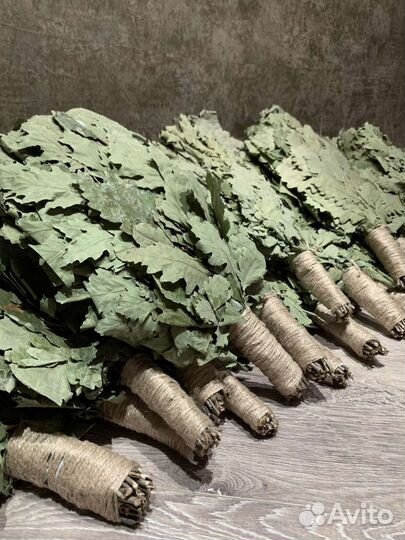 Дубовые Краснодарские веники. Сбор Июль 2023