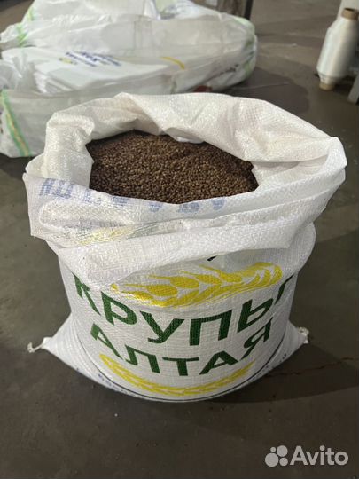 Гречка темная на Туркменистан, Азербайджан, Иран