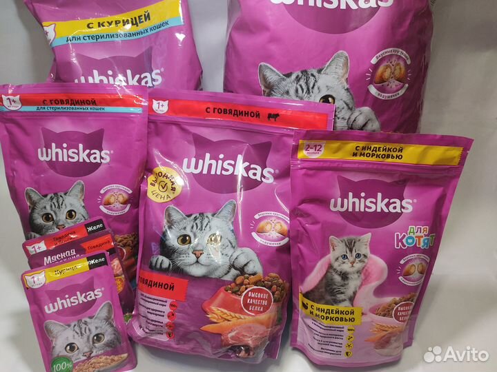 Сухой корм для кошек, влажный корм для кошек