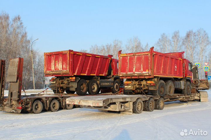 Трал / перевозка спецтехники