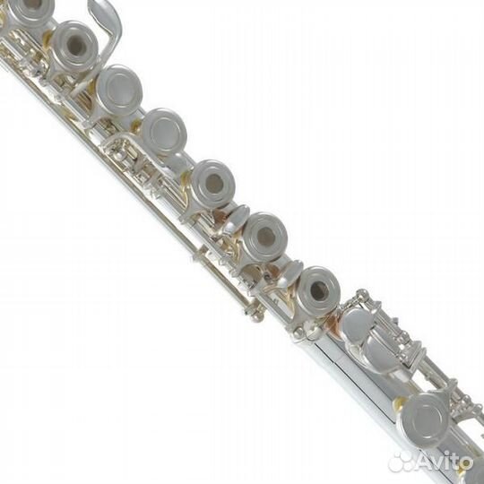 Флейта Roy Benson FL-402R2