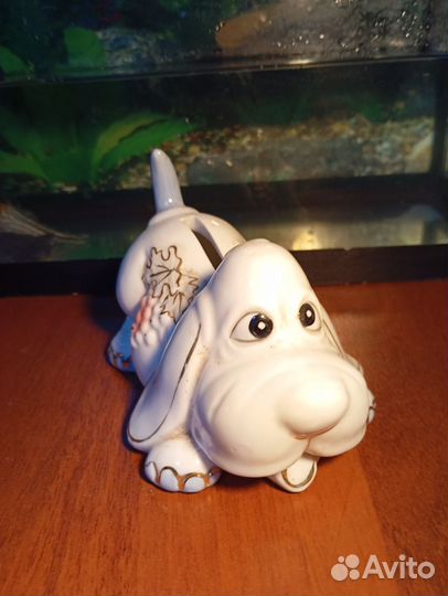 Фарворовая собачка 