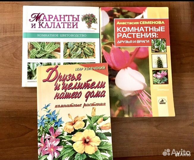 Б.Н.Головкина