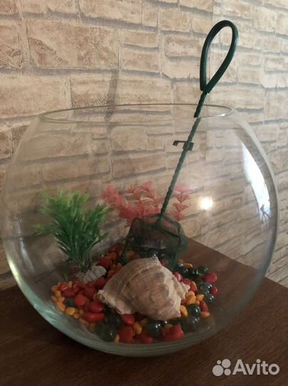 Аквариум на 10 литров