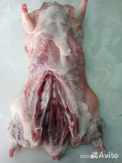 Мясо нутрии