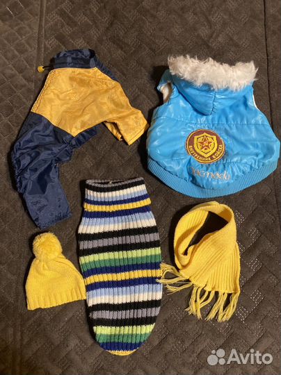 Одежда для маленькой собачки