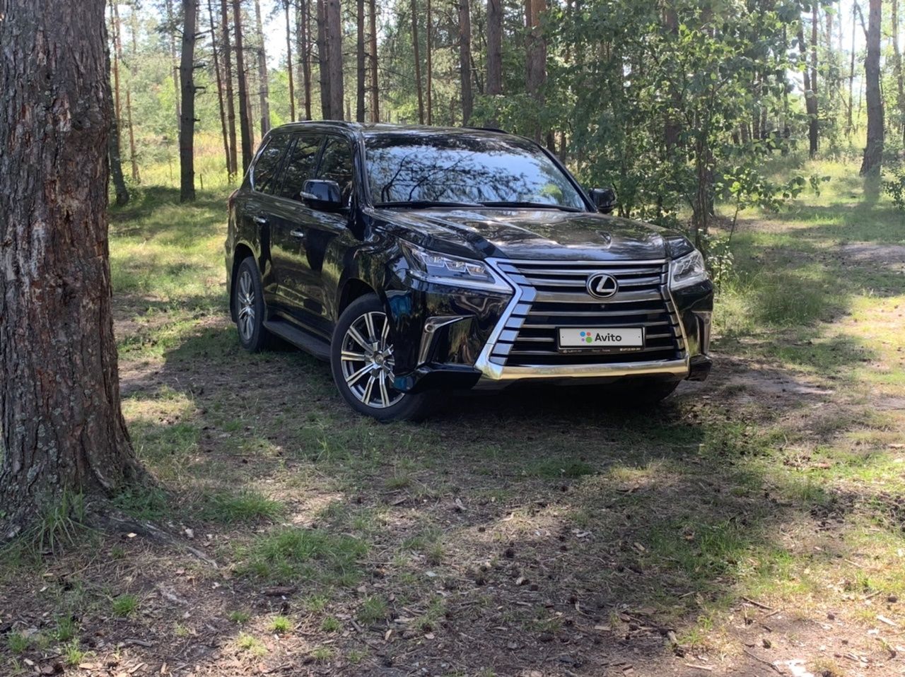 Lexus LX: фото владельца