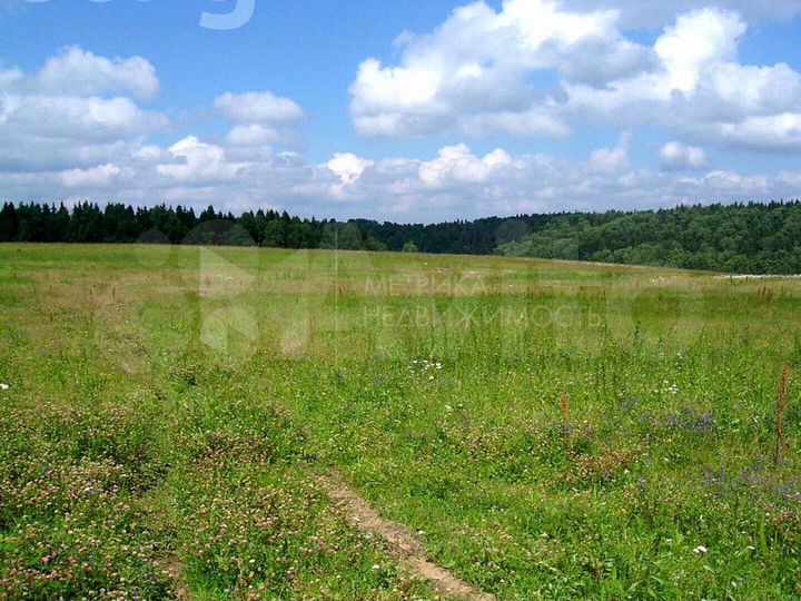 Участок 8,3 сот. (СНТ, ДНП)